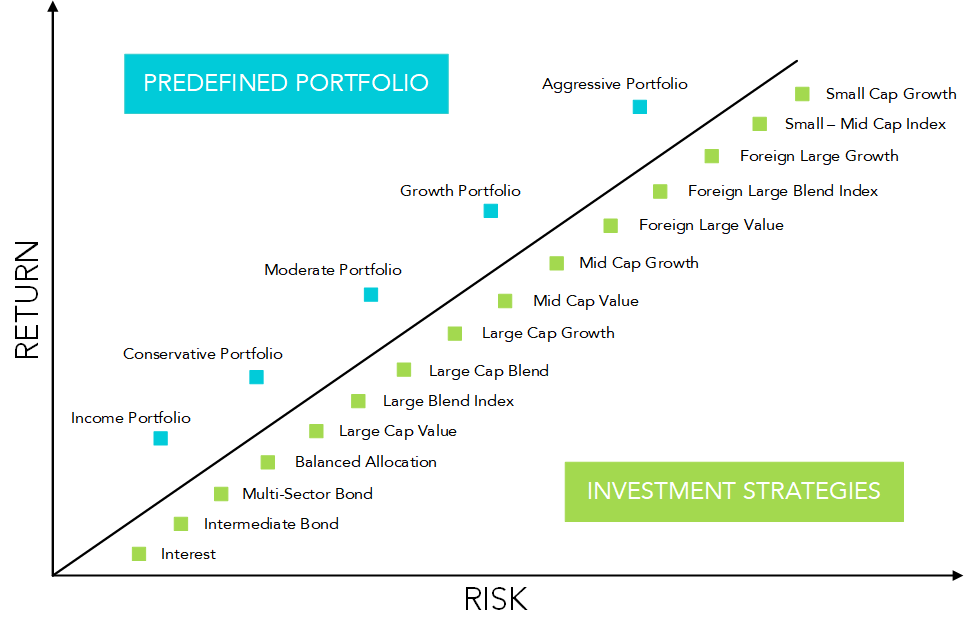 moderate risk investing definition economics